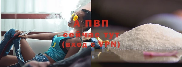 ECSTASY Заволжск