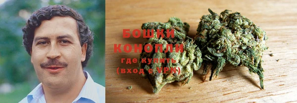 альфа пвп Заводоуковск