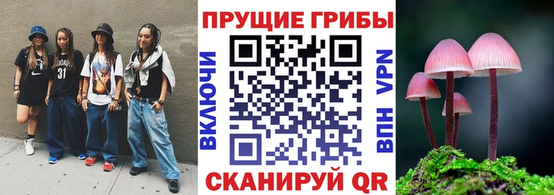 Галлюциногенные грибы Psilocybe  наркотики  Норильск 