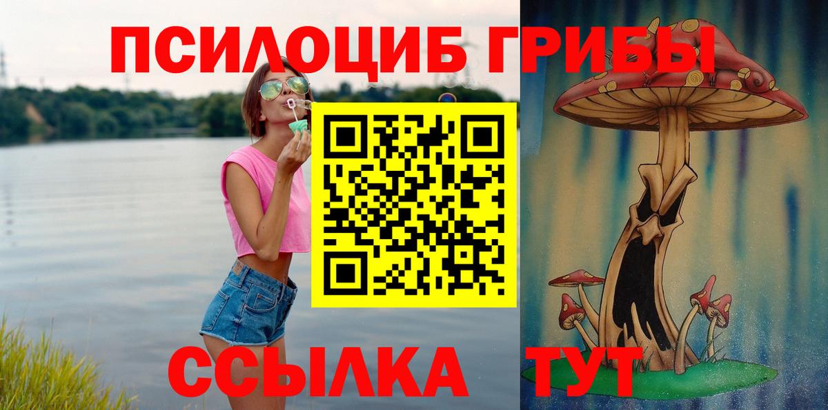 Норильск  Псилоцибиновые грибы Psilocybe  Вход с VPN 