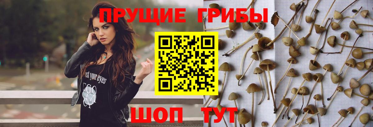 Где купить  Норильск  Гашиш  МАРИХУАНА  Экстази  Меф МЯУ МЯУ кристаллы  Вход с VPN  А ПВП СОЛЬ   Лсд 25 